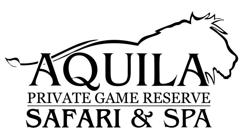 Aquila Safaris logo