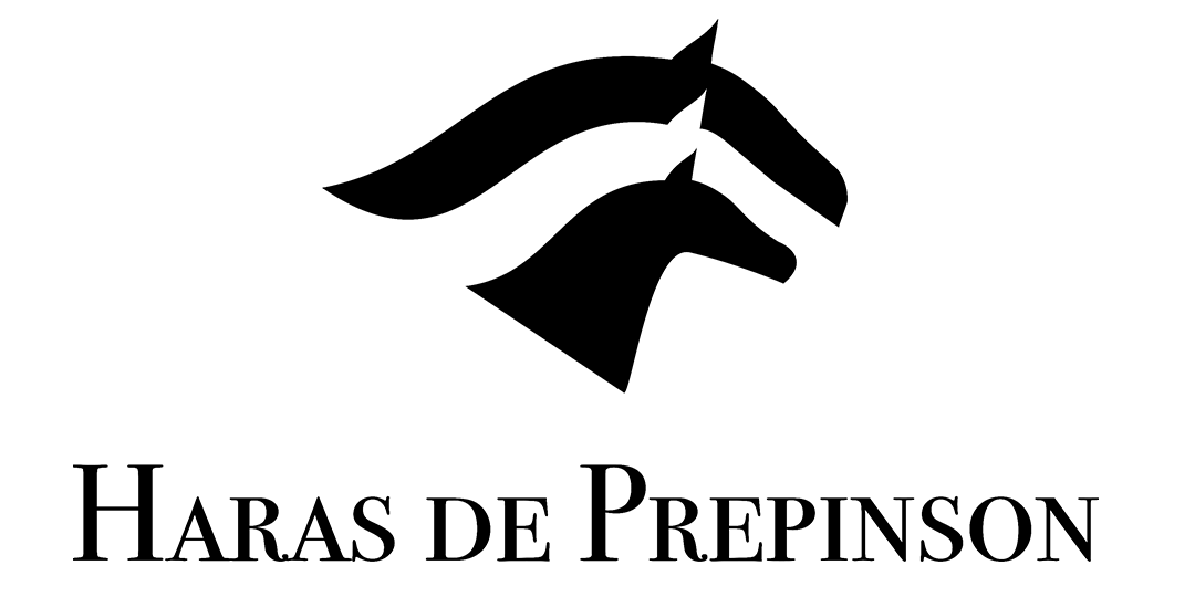 Prepinson logo