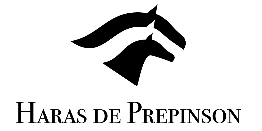 Prepinson logo