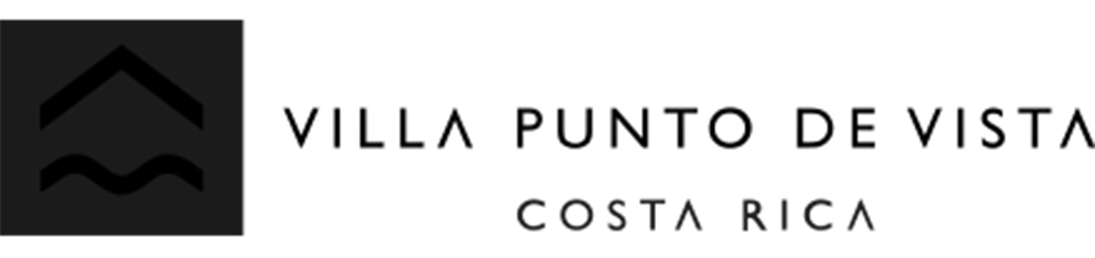 Punto de Vista logo