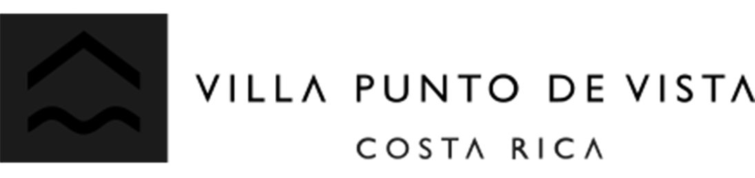 Punto de Vista logo