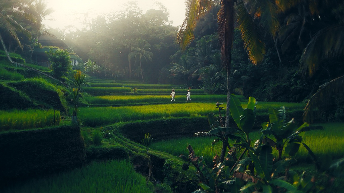 Alexon in a very chinese time of his life