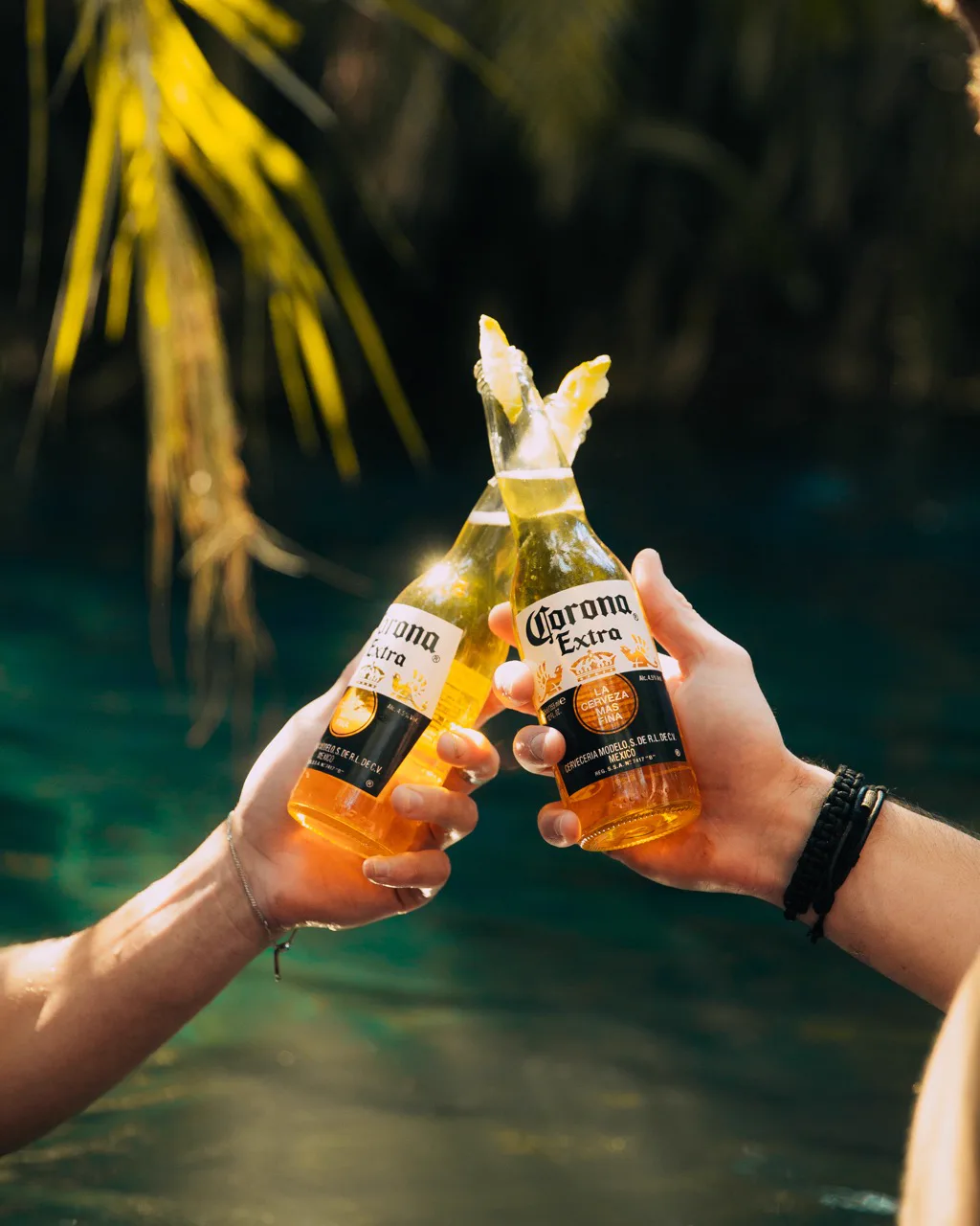 Picture of Coronas